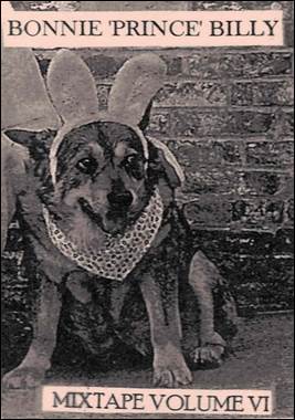 A dog wearing bunny ears

Description automatically generated