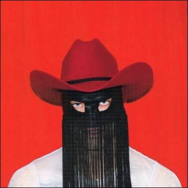 A person wearing a cowboy hat and mask

Description automatically generated