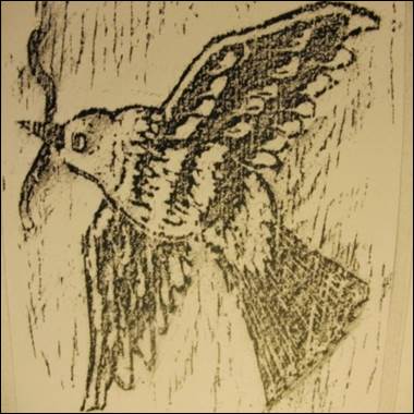 A drawing of a bird

Description automatically generated