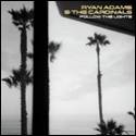 A group of palm trees by the ocean

Description automatically generated
