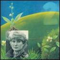 A person's face on a branch

Description automatically generated