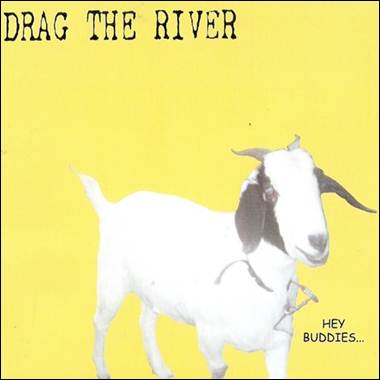 A white goat with black ears

Description automatically generated