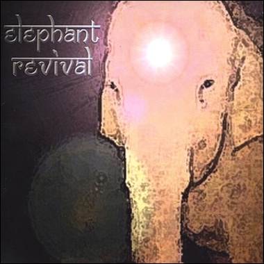 A close-up of an elephant

Description automatically generated