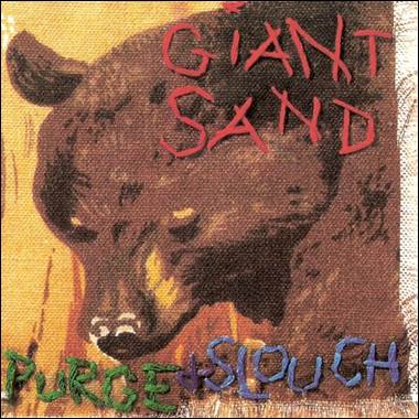 A close-up of a bear

Description automatically generated