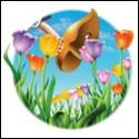 A colorful flowers and shoes

Description automatically generated with medium confidence