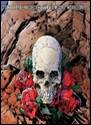 A skull with roses on a rock

Description automatically generated