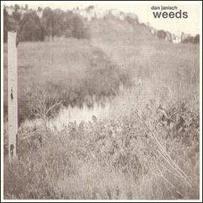 A field of weeds and a river
Description automatically generated with medium confidence