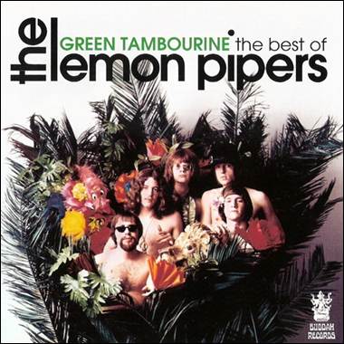 A group of men in a tropical setting

Description automatically generated