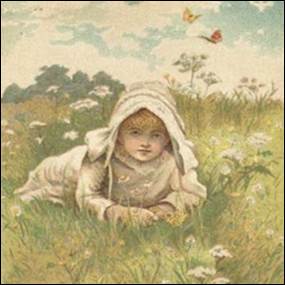 A child lying in a field of flowers
Description automatically generated
