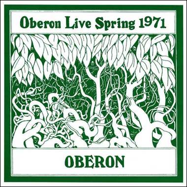 A green and white logo with white text

Description automatically generated