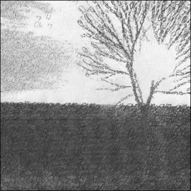A tree with numbers in the sky

Description automatically generated