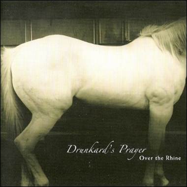 A white horse standing in a stable
Description automatically generated