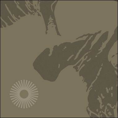 A close-up of a brown background

Description automatically generated