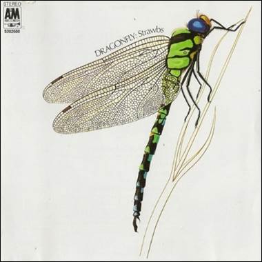 A dragonfly on a stick

Description automatically generated