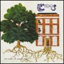 A tree with roots and a building

Description automatically generated