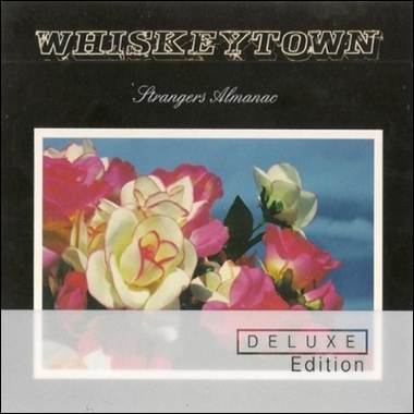 A close-up of a flower

Description automatically generated