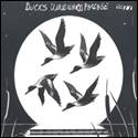 A group of ducks flying over a moon

Description automatically generated