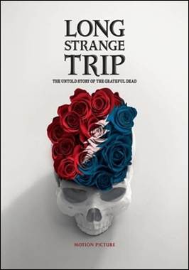 A skull with flowers on it

Description automatically generated