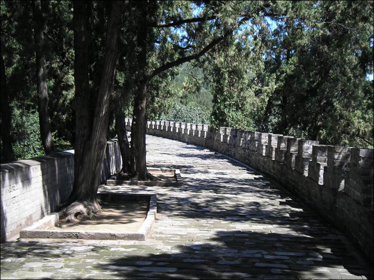 A stone wall with trees in the background

AI-generated content may be incorrect.