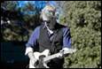A person playing a guitar

Description automatically generated with medium confidence