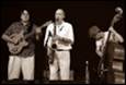 A group of people playing instruments

Description automatically generated with medium confidence