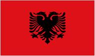 A red flag with a black eagle
AI-generated content may be incorrect.