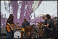 A group of people playing instruments

Description automatically generated