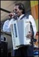 A person playing an accordion

Description automatically generated