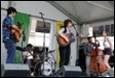 A picture containing musical instrument, person, concert, music

Description automatically generated