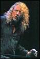 A person with long curly hair and a guitar

Description automatically generated