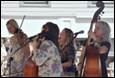 A group of people playing instruments

Description automatically generated