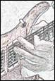 A close-up of a hand playing a guitar

Description automatically generated with medium confidence